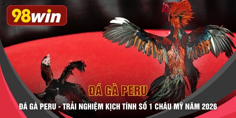Đá Gà Peru - Trải Nghiệm Kịch Tính Số 1 Châu Mỹ Năm 2026