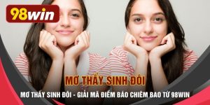 Mơ Thấy Sinh Đôi - Giải Mã Điềm Báo Chiêm Bao Từ 98WIN