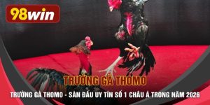 Trường Gà Thomo - Sàn Đấu Uy Tín Số 1 Châu Á Trong Năm 2026