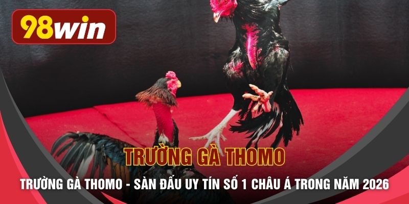 Trường Gà Thomo - Sàn Đấu Uy Tín Số 1 Châu Á Trong Năm 2026
